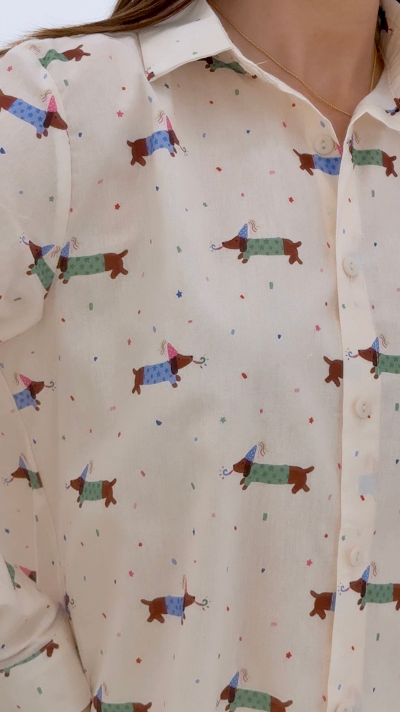 CAMISA PERRIFEST